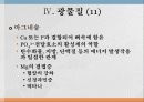 광물질과 대사작용 20페이지