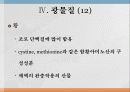 광물질과 대사작용 21페이지
