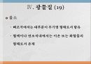 광물질과 대사작용 28페이지