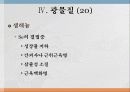 광물질과 대사작용 29페이지
