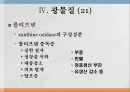광물질과 대사작용 30페이지