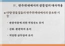 광물질과 대사작용 34페이지
