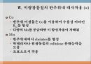 광물질과 대사작용 40페이지