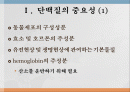 단백질과 대사작용 2페이지