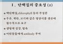 단백질과 대사작용 3페이지