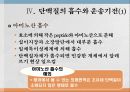 단백질과 대사작용 11페이지