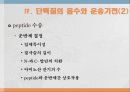 단백질과 대사작용 12페이지