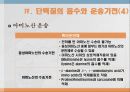 단백질과 대사작용 14페이지