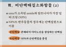 단백질과 대사작용 19페이지
