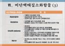 단백질과 대사작용 20페이지