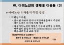 단백질과 대사작용 26페이지