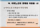 단백질과 대사작용 27페이지