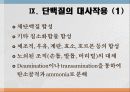 단백질과 대사작용 29페이지