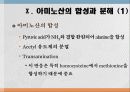 단백질과 대사작용 32페이지