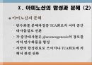 단백질과 대사작용 33페이지