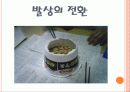 비판적사고와 간호과정(간호계획)  4페이지
