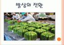 비판적사고와 간호과정(간호계획)  5페이지