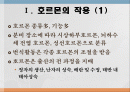 번식영양 2페이지