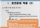 번식영양 5페이지