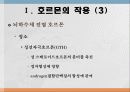 번식영양 6페이지