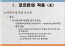 번식영양 7페이지