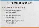 번식영양 9페이지