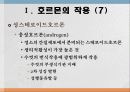 번식영양 10페이지