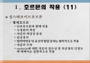 번식영양 14페이지