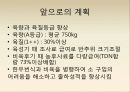 보경농장 현재와 미래 12페이지