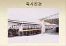 보경농장 현재와 미래 16페이지