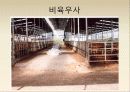 보경농장 현재와 미래 18페이지