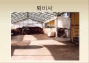 보경농장 현재와 미래 19페이지