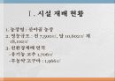 비가림 시설 고추 친환경 재배 3페이지