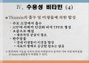 비타민과 대사작용 31페이지