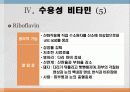 비타민과 대사작용 32페이지