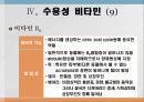 비타민과 대사작용 36페이지