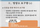 성장영양 10페이지