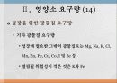 성장영양 23페이지