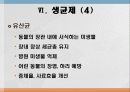 성장촉진제 20페이지