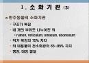 소화 및 흡수 4페이지
