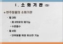소화 및 흡수 6페이지