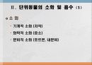 소화 및 흡수 8페이지