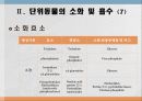 소화 및 흡수 14페이지