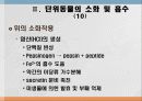 소화 및 흡수 17페이지