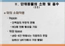 소화 및 흡수 18페이지