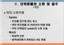 소화 및 흡수 19페이지