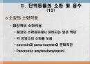 소화 및 흡수 20페이지