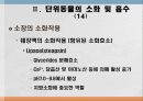 소화 및 흡수 21페이지