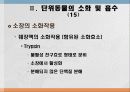 소화 및 흡수 22페이지
