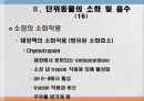 소화 및 흡수 23페이지